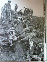 越南戰爭死屍遍地