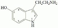 5-羥色胺