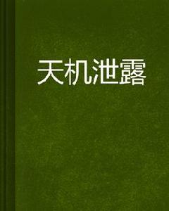 天機泄露[小說]