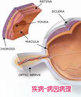 粘液水腫性昏迷