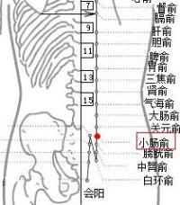 小腸俞穴