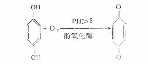 氧化