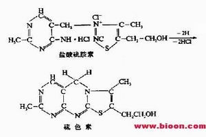 維生素B6缺乏症