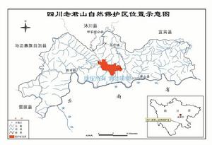 老君山自然保護區[四川省屏山縣自然保護區]