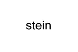 stein