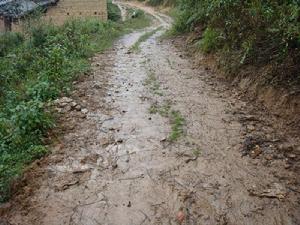 村內泥濘的道路