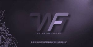 五豐行投資管理有限公司