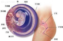 愛滋病的消化系統損害