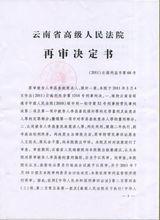 雲南省高院再審決定書