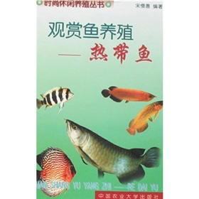 觀賞魚養殖：熱帶魚