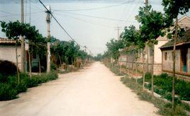 圈裡村[山東萊西市南墅鎮下轄村]