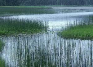 都陽湖平原