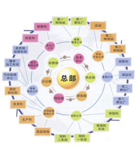 組織結構