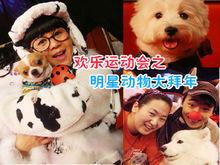 中國小動物保護協會協會會歌《大愛無疆》