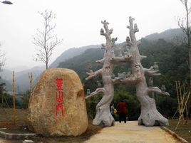 柏塘村[廣東省廣州市白雲區太和鎮柏塘村]