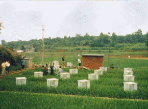 （圖）大氣邊界層物理