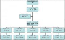 黨總支組織結構