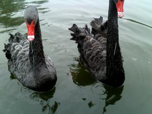 浙江金華動物園