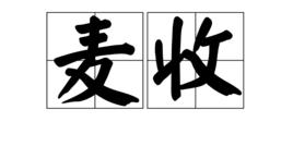 麥收[漢語詞語]