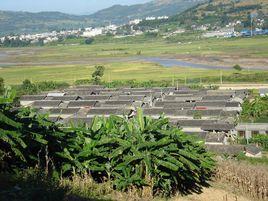 落水坑自然村[雲南省臨滄市永德縣永康鎮朝陽行政村下轄村]