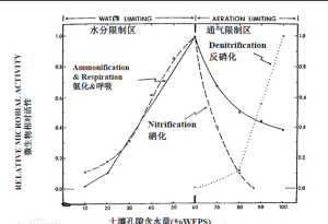 反硝化作用