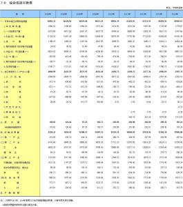 能源平衡表