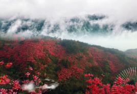 雲霧山[湖北山脈]