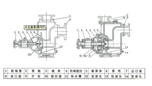 ZX自吸離心泵結構圖