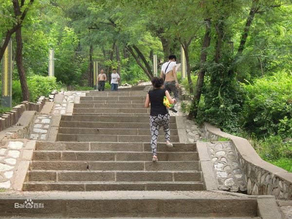 大石橋 蟠龍山