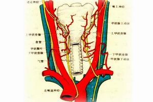 （圖）病因