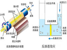 反滲透膜結構示意圖