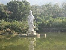 圭峰山叱石森林公園