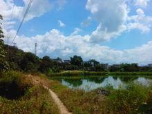 汾水村[廣東揭陽玉湖汾水村]