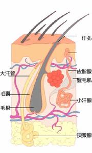 腋窩臭