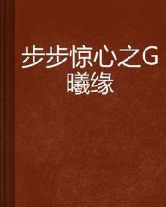 步步驚心之禛曦緣