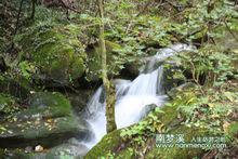 森林 瀑布 風景 山水 溪水 小河 山峰 雪景