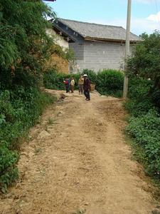 馬槽溝自然村村內道路