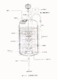 厭氧發酵