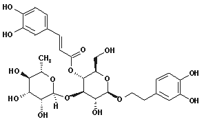 毛蕊花糖苷