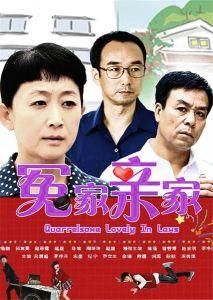 《冤家親家》[2015年上映電視劇]