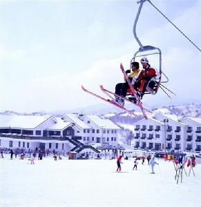 龍平滑雪場