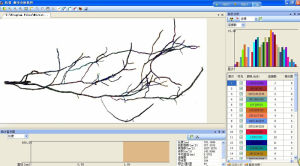 根系分析系統