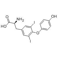 分子式