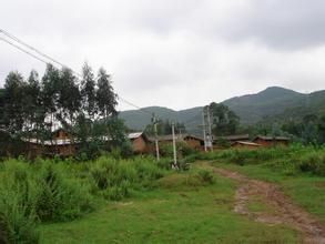 鞠家村[楚雄市東瓜鎮桃園村委會下轄村]