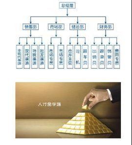 組織管理