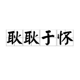 耿耿於懷[漢語成語]