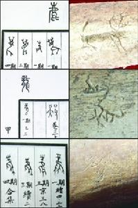 甲骨文鹿龍鳳(圖左)與骨刻文(圖右)對比