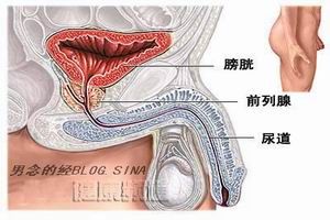 陰莖癌