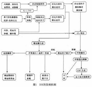 播散性血管內凝血（圖）表1