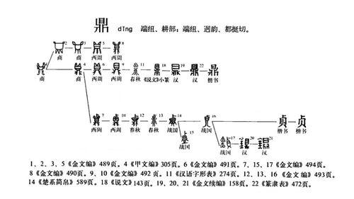 演變流程圖